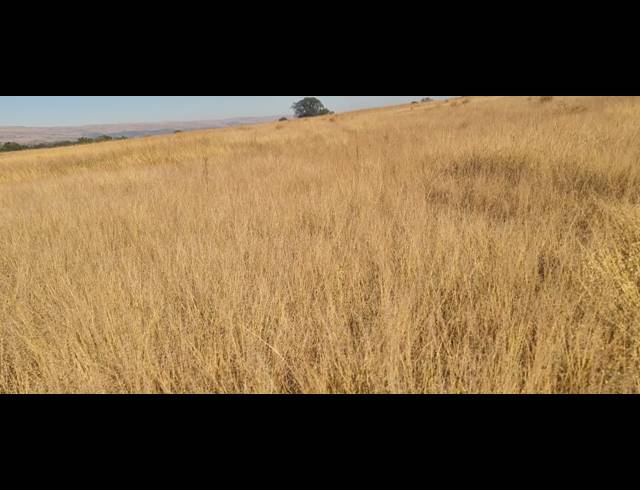78HA VACANT LAND FOR SALE IN BUFFELSFONTEIN AH